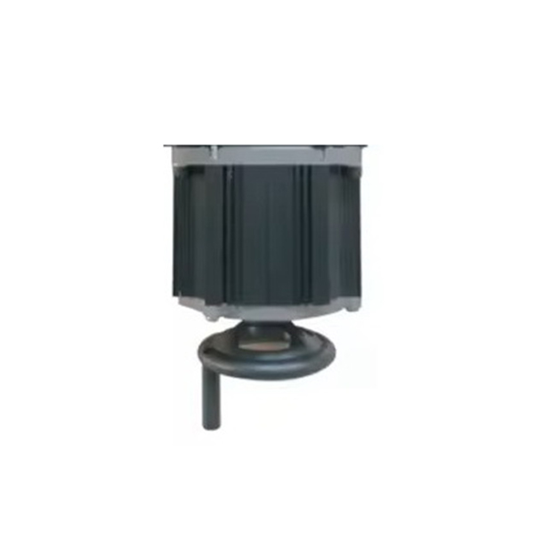 Motor-DC-DZ130-site.jpg